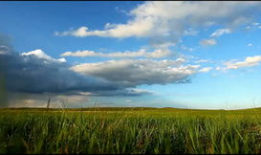 草原视频,广袤无垠的自然画卷